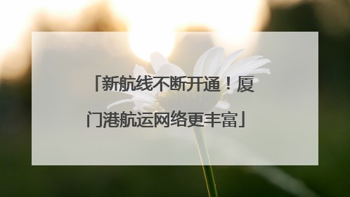 新航线不断开通！厦门港航运网络更丰富