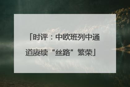 时评：中欧班列中通道赓续“丝路”繁荣