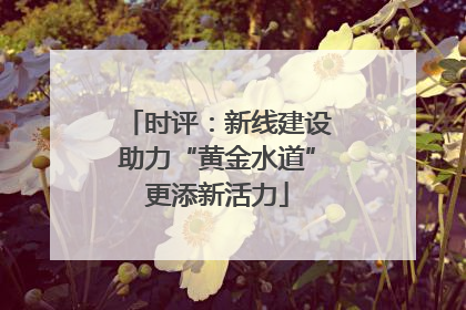 时评：新线建设助力“黄金水道”更添新活力
