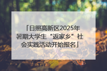 日照高新区2025年暑期大学生“返家乡”社会实践活动开始报名