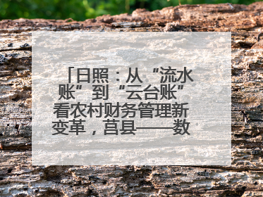 日照：从“流水账”到“云台账”看农村财务管理新变革，莒县——数字赋能激活乡村振兴“一池春水”