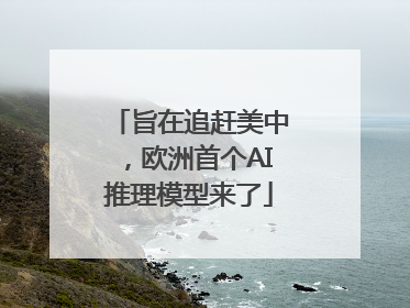 旨在追赶美中，欧洲首个AI推理模型来了