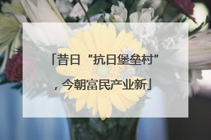 昔日“抗日堡垒村”，今朝富民产业新
