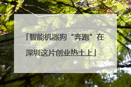 智能机器狗“奔跑”在深圳这片创业热土上