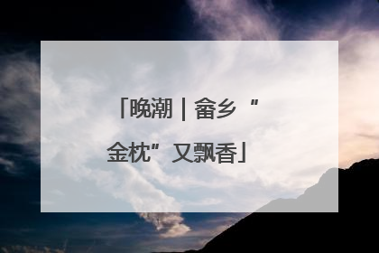 晚潮｜畲乡“金枕”又飘香