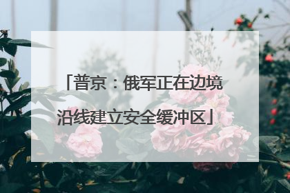 普京：俄军正在边境沿线建立安全缓冲区