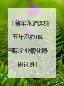 普华永道连续五年承办IBI国际企业孵化器研讨班