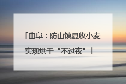 曲阜：防山镇夏收小麦实现烘干“不过夜”