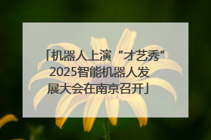 机器人上演“才艺秀” 2025智能机器人发展大会在南京召开