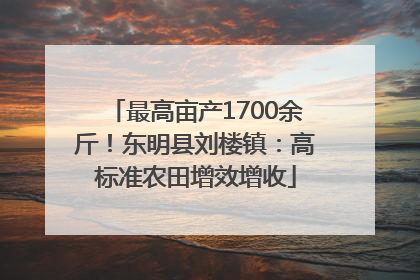 最高亩产1700余斤！东明县刘楼镇：高标准农田增效增收