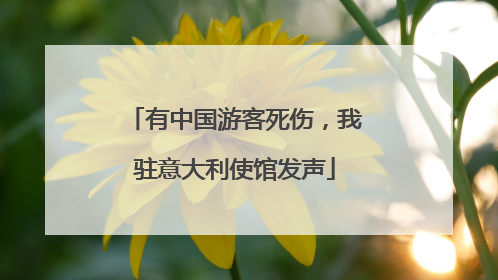 有中国游客死伤，我驻意大利使馆发声