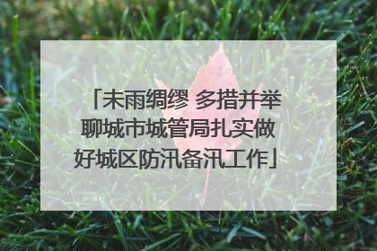 未雨绸缪 多措并举 聊城市城管局扎实做好城区防汛备汛工作