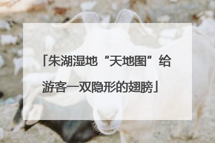 朱湖湿地“天地图”给游客一双隐形的翅膀