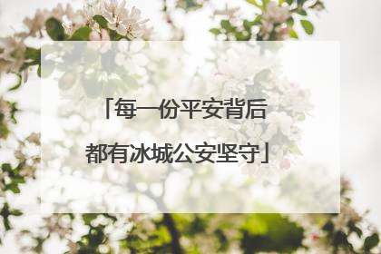 每一份平安背后 都有冰城公安坚守