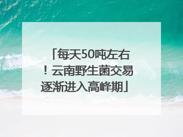 每天50吨左右！云南野生菌交易逐渐进入高峰期