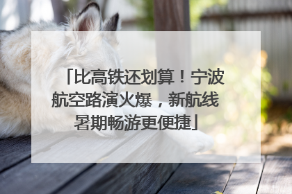 比高铁还划算！宁波航空路演火爆，新航线暑期畅游更便捷
