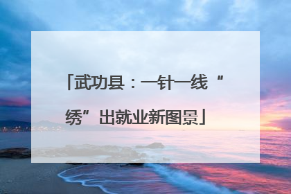 武功县：一针一线“绣”出就业新图景