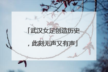 武汉女足创造历史，此刻无声又有声