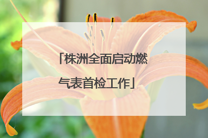 株洲全面启动燃气表首检工作