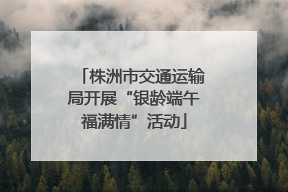 株洲市交通运输局开展“银龄端午福满情”活动