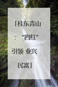 桂东青山：“四红”引领 业兴民富