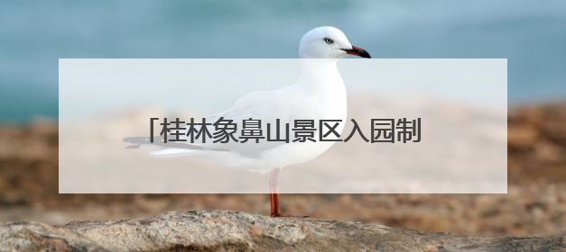 桂林象鼻山景区入园制度反复调整：一年不到又恢复实名制分时预约
