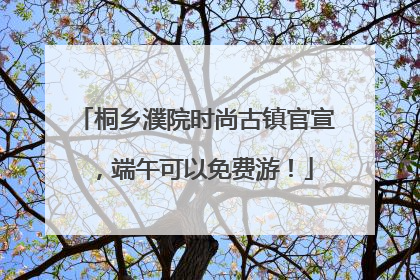 桐乡濮院时尚古镇官宣，端午可以免费游！
