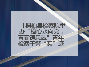 桐柏县检察院举办“检心永向党，青春铸忠诚”青年检察干警“实”迹展示活动