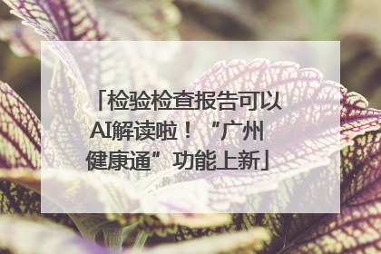 检验检查报告可以AI解读啦！“广州健康通”功能上新