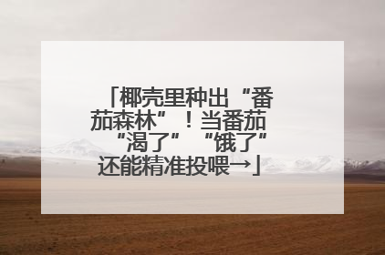 椰壳里种出“番茄森林”！当番茄“渴了”“饿了”还能精准投喂→