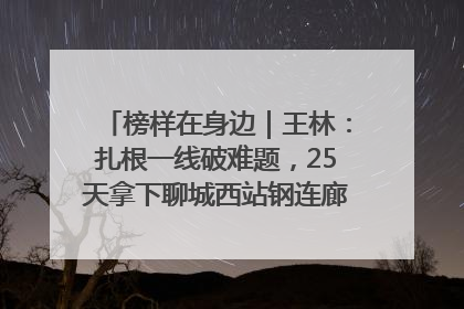 榜样在身边｜王林：扎根一线破难题，25天拿下聊城西站钢连廊“硬核”工程