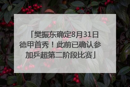 樊振东确定8月31日德甲首秀！此前已确认参加乒超第二阶段比赛