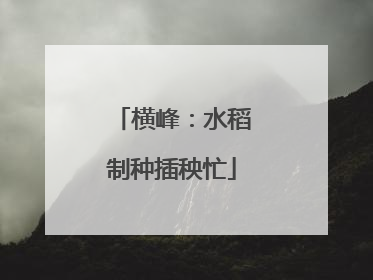 横峰：水稻制种插秧忙