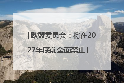 欧盟委员会：将在2027年底前全面禁止