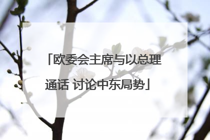 欧委会主席与以总理通话 讨论中东局势