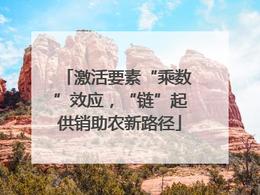 激活要素“乘数”效应，“链”起供销助农新路径
