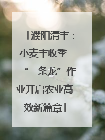 濮阳清丰：小麦丰收季 “一条龙”作业开启农业高效新篇章