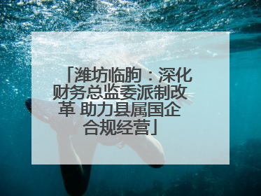 潍坊临朐：深化财务总监委派制改革 助力县属国企合规经营