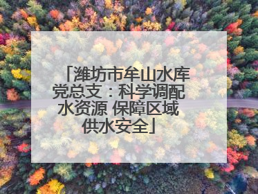 潍坊市牟山水库党总支：科学调配水资源 保障区域供水安全