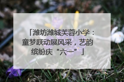 潍坊潍城芙蓉小学：童梦跃动展风采，艺韵缤纷庆“六一”