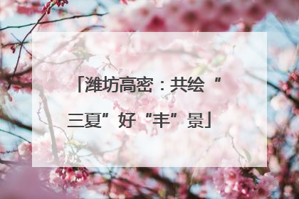 潍坊高密：共绘“三夏”好“丰”景