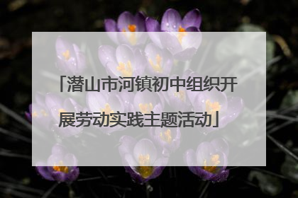 潜山市河镇初中组织开展劳动实践主题活动