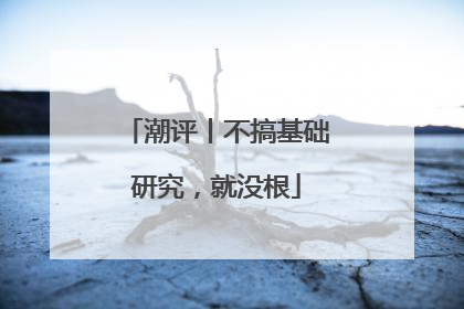 潮评丨不搞基础研究，就没根