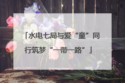水电七局与爱“童”同行筑梦“一带一路”