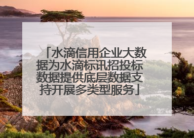 水滴信用企业大数据为水滴标讯招投标数据提供底层数据支持开展多类型服务