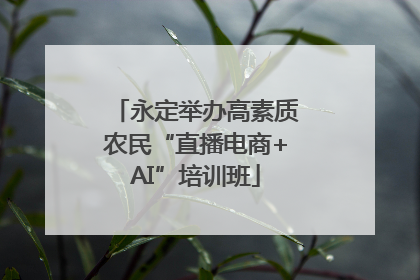 永定举办高素质农民“直播电商+AI”培训班