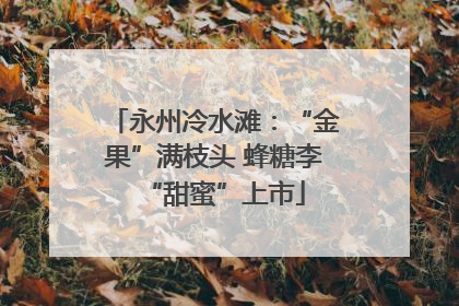 永州冷水滩：“金果”满枝头 蜂糖李“甜蜜”上市