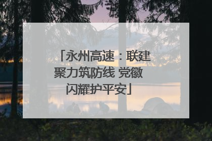 永州高速：联建聚力筑防线 党徽闪耀护平安