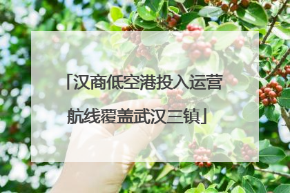 汉商低空港投入运营 航线覆盖武汉三镇
