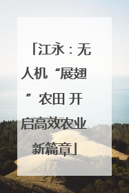 江永：无人机“展翅”农田 开启高效农业新篇章